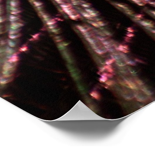 Peacock Feather Poster (Ecke)