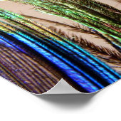 Peacock Feather Poster (Ecke)