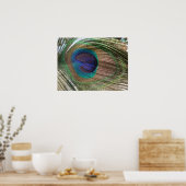 peacock feather poster (Küche)