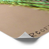 Peacock Feather Poster (Ecke)