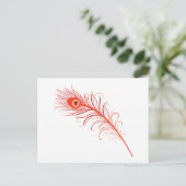 Peacock Feather Postkarte (Stehend Vorderseite)