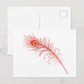 Peacock Feather Postkarte (Vorne/Hinten)