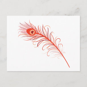 Peacock Feather Postkarte