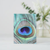 Peacock Feather Postkarte (Stehend Vorderseite)