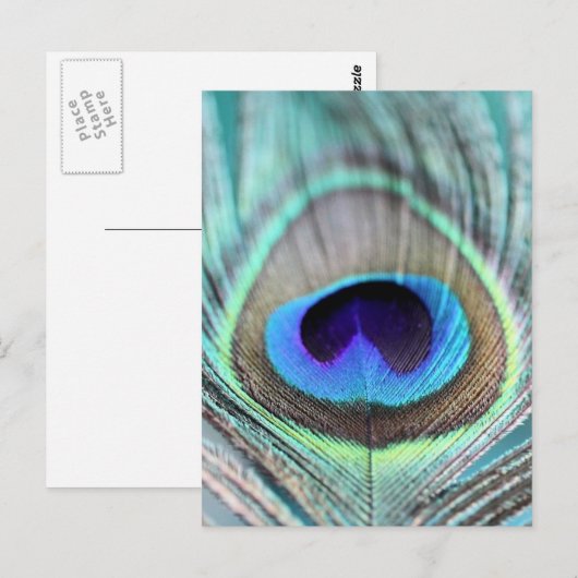 Peacock Feather Postkarte (Vorne/Hinten)
