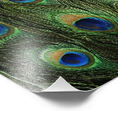 Peacock Feather Print Fotodruck (Ecke)