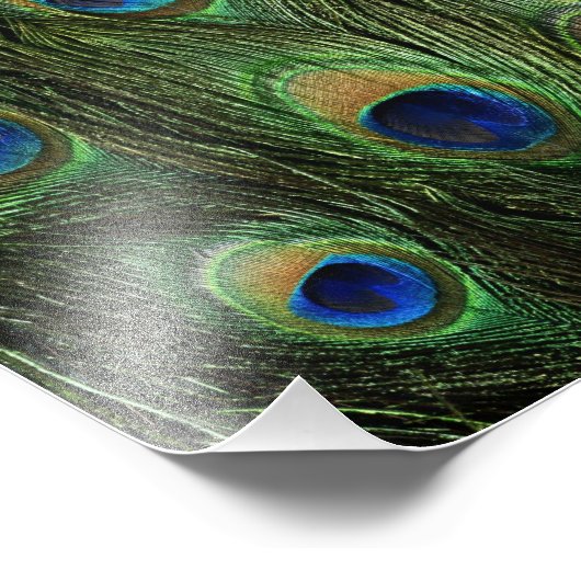 Peacock Feather Print Fotodruck (Ecke)