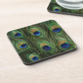 Peacock Feather Print Untersetzer (Linke Seite)