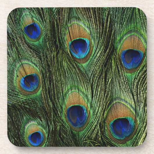 Peacock Feather Print Untersetzer (Vorderseite)