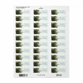 Peacock Feather Rücksendeadressen-Aufkleber (Vorne)