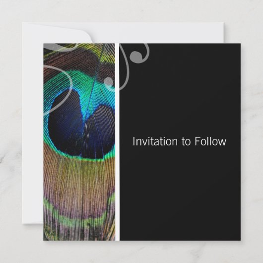 Peacock Feather Save the Date lädt (Rückseite)