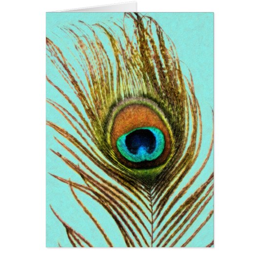 Peacock Feather Set 1107 (Vorne)