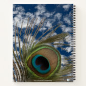 PEACOCK FEATHER SKY FOTO HARDCOVER NOTEBOOK NOTIZBLOCK (Rückseite)