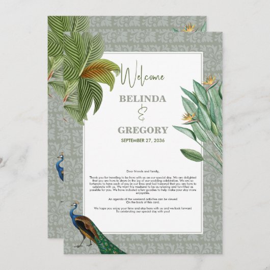 Peacock Feather Tropical Wedary Programm (Vorne/Hinten)