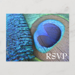 Peacock Feather UAWG Postcard Einladungspostkarte