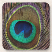 Peacock Feather Untersetzer (Vorderseite)