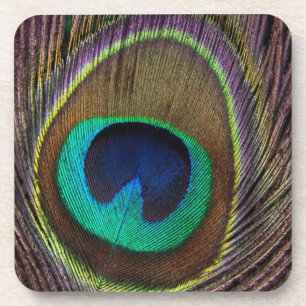 Peacock Feather Untersetzer
