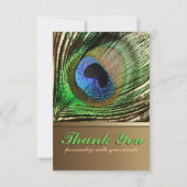 Peacock Feather Vielen Dank Hinweis Einladung (Vorderseite)