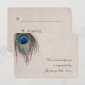 Peacock Feather Wedding RSVP Karte (Vorne/Hinten)