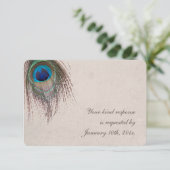 Peacock Feather Wedding RSVP Karte (Stehend Vorderseite)