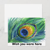 Peacock feather, Wish you were here Postkarte (Vorne/Hinten)