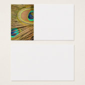 Peacock Feathers (Vorne & Hinten)