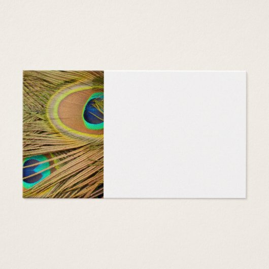 Peacock Feathers (Vorderseite)