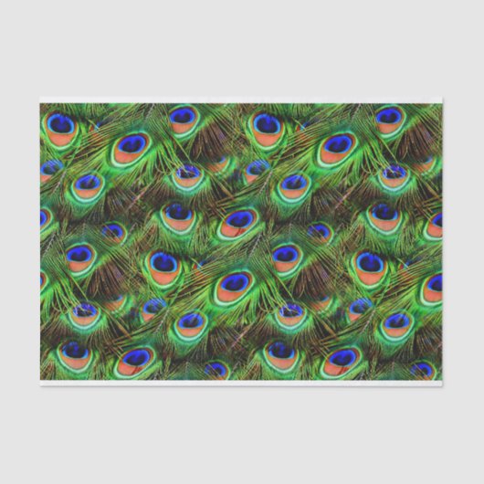 Peacock Feathers 7A-B Optionen Seidenpapier (Vorderseite)