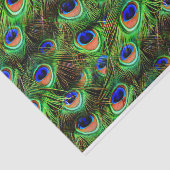 Peacock Feathers 7A-B Optionen Seidenpapier (Ausschnitt)