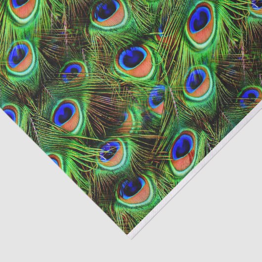 Peacock Feathers 7A-B Optionen Seidenpapier (Ausschnitt)