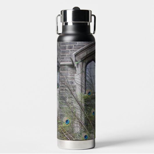 Peacock Feathers and Gothic Windows Trinkflasche (Vorderseite)