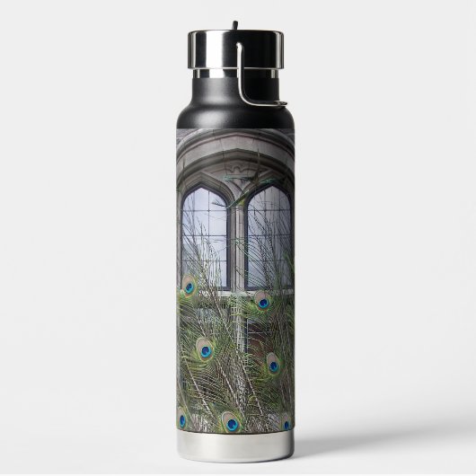 Peacock Feathers and Gothic Windows Trinkflasche (Links)