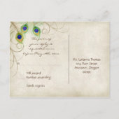 Peacock Feathers Aqua Damask UAWG Response Card Einladungspostkarte (Rückseite)