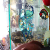 Peacock Feathers Aquamarin Peacocks Fensteraufkleber