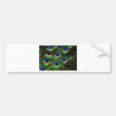 Peacock Feathers Autoaufkleber (Vorne)