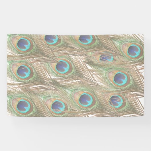 Peacock Feathers Banner (Horizontal)