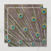 Peacock Feathers Birthday Einladung (Vorne/Hinten)