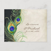 Peacock Feathers Black Damask UAWG Response Card Einladungspostkarte (Vorderseite)