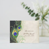 Peacock Feathers Black Damask UAWG Response Card Einladungspostkarte (Stehend Vorderseite)