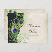 Peacock Feathers Black Damask UAWG Response Card Einladungspostkarte (Vorne/Hinten)