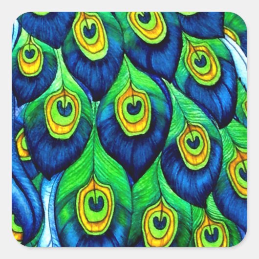 Peacock Feathers Design Quadratischer Aufkleber (Vorderseite)