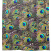 Peacock Feathers Duschvorhang (Vorderseite)