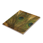 Peacock Feathers Fliese (Seite)