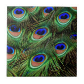 Peacock Feathers Fliese (Vorderseite)