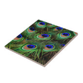 Peacock Feathers Fliese (Seite)