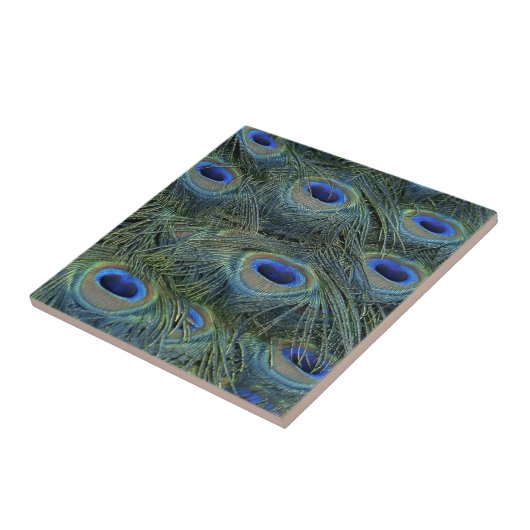 Peacock Feathers Fliese (Seite)