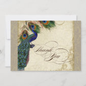 Peacock Feathers Formal danke Sie Notes Taupe Mitteilungskarte (Vorderseite)