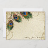 Peacock Feathers Formal danke Sie Notes Taupe Mitteilungskarte (Rückseite)