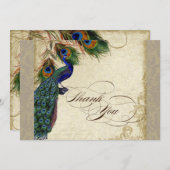 Peacock Feathers Formal danke Sie Notes Taupe Mitteilungskarte (Vorne/Hinten)