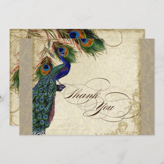 Peacock Feathers Formal danke Sie Notes Taupe Mitteilungskarte (Vorne/Hinten)